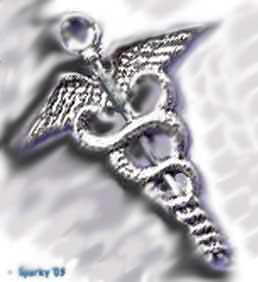 Silver-caduceus-hairpin.jpg